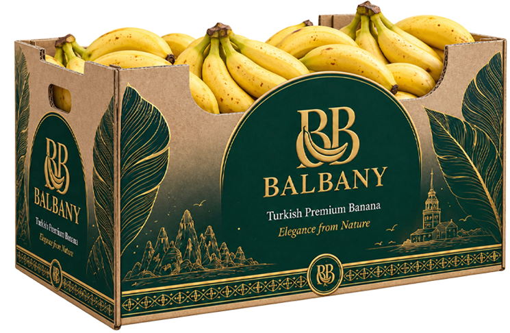 Balbany premium muz kutusu